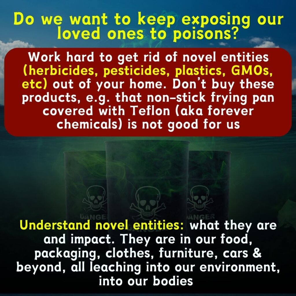 The polycrisis, Andrea T Edwards