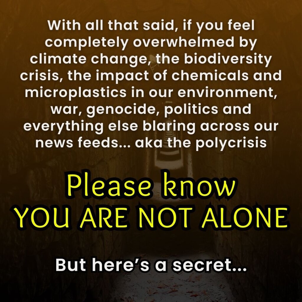 The polycrisis, Andrea T Edwards