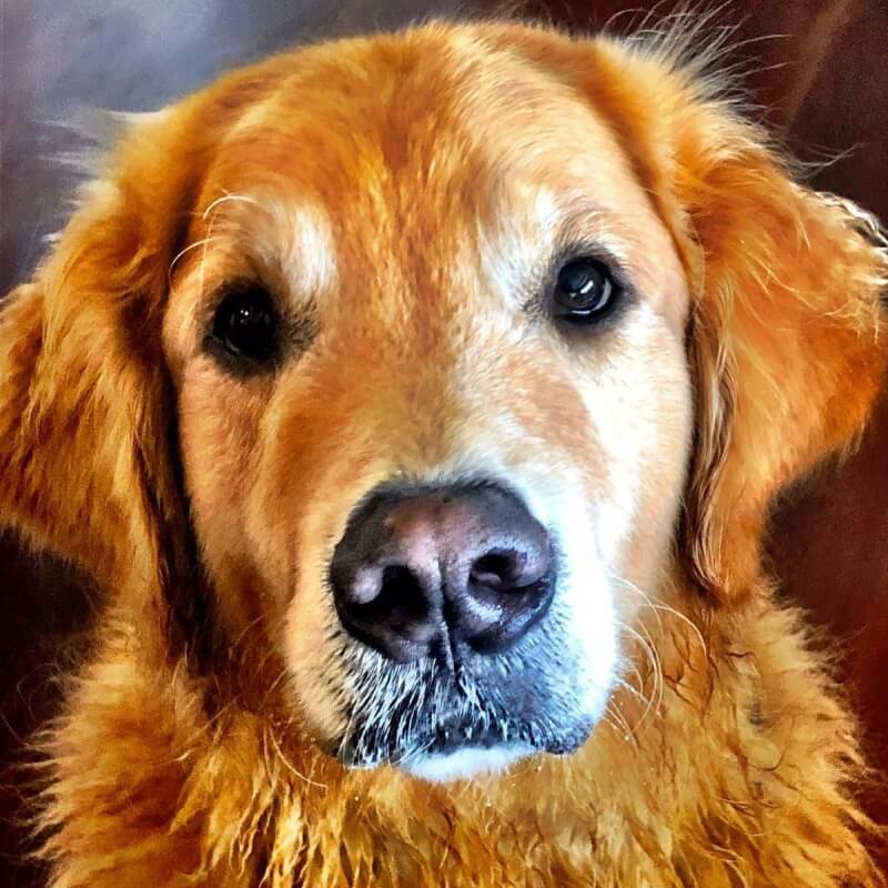 The hole love leaves behind